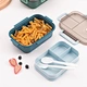 plastic bento lunch box